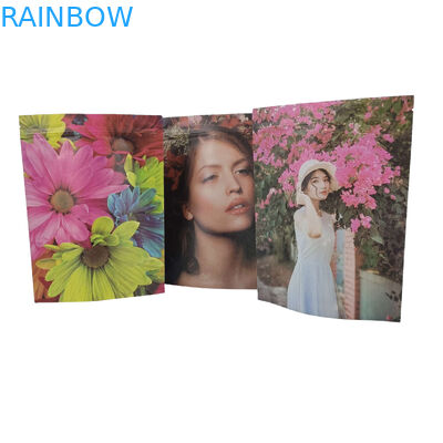 Sacos de embalagem de alimentos personalizados de plástico com fecho de fecho de alumínio